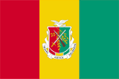 Flagge Fahne national flag Guinea Präsident president