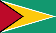 Flagge Fahne flag National flag Guyana