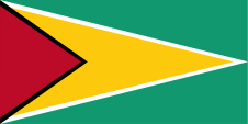 Flagge Fahne flag National flag Merchant flag SeeOfficial flag Guyana