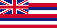 Flagge Fahne flag Staatsflagge Hawaii