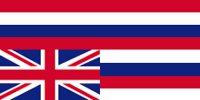 Flagge Fahne flag unabhängig Unabhängigkeit independent Hawaii