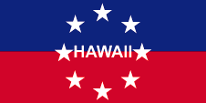 Flagge Fahne flag Gouverneur governor Hawaii