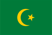 Flagge Fahne flag National flag Republik Republic Ostturkestan Ostturkistan East Turkestan Uiguristan