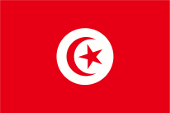 Flagge Fahne flag Tunesien Tunisia Tunisie Tunis