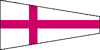 Flagge 8
