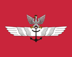 Flaga aeronautyczna Polski Polska