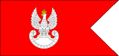 flag flaga bandera Polska Polski flaga wojsk ladowych