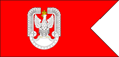 flag flaga bandera Polska Polski flaga sil powietrznych