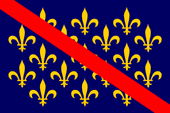 Flagge Fahne flag drapeau Bourbonnais Bourbon