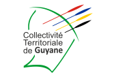 Flagge Fahne Französisch-Guayana flag French Guiana dreapeau pavillon Collectivité territoriale unique Guyane Française