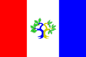 Flagge Fahne flag pavillon drapeau French Polynesia Polynésie Française Französisch-Polynesien Pays d' Collectivité d'Outre-Mer de la Polynésie Française