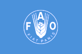 Flagge, Fahne, Organisation für Ernährung und Landwirtschaft der Vereinten Nationen