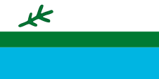 Flagge, Fahne, Labrador