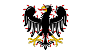 Flagge Fahne flag colours colors Böhmen Bohemia Przemysliden Dynastie Přemyslid dynasty