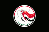 Flagge Fahne Flag Nationale Verteidigungskräfte national defence force Syrien Syrien Syria Syrienne Suriyah