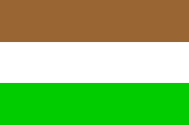 Flagge Fahne flag National flag Transkei Bantustan Homeland