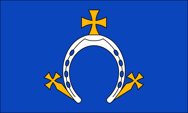 flaga szlachta Dąbrowa tarcza
