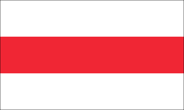flaga szlachta Kotwicz tarcza