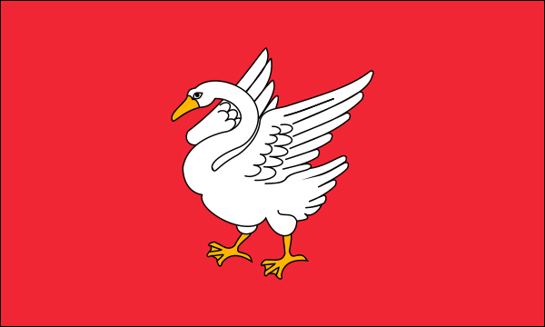 flaga szlachta Łabędź tarcza