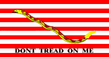 Flagge, Fahne, USA